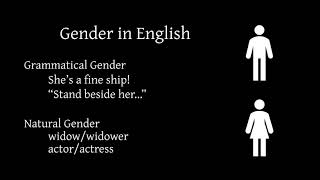 Case Number and Gender in English and Latin Nouns [upl. by Gloriana]