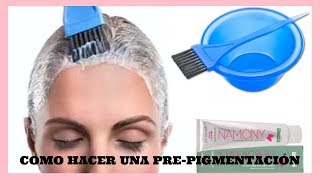 COMO REALIZAR UNA PREPIGMENTACIÓN PARA CANAS Y OSCURECER CABELLOS 🎀 sandranewlook [upl. by Nnaycart]