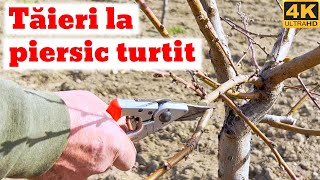 Taieri la piersic turtit fructe turtite [upl. by Kape]