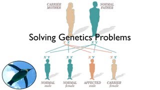 Solving Genetics Problems [upl. by Claresta]