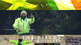 The Fields Athenry  Reggae Version  Vigarous [upl. by Dorolisa]