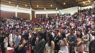 Matrimonios colectivos en Ecuador en el Día de San Valentín [upl. by Yrogreg493]