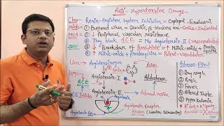 Antihypertensive Drugs Part 05  ReninAngiotensin System Inhibitors  RAAS Mechanism of Action [upl. by Annas]