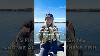 Crappie fishing updates from the midwest crappiefishing fishing [upl. by Viridissa]