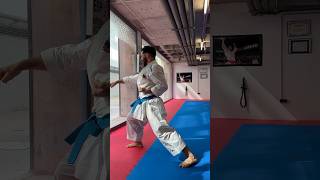 OHAN HALF KATA PERFORMANCE  SPAIN TRAINING CAMP [upl. by Lehcin]