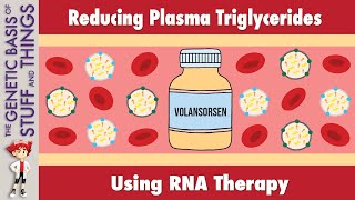 Volanesorsen A novel treatment for high triglyceride levels [upl. by Haeel563]