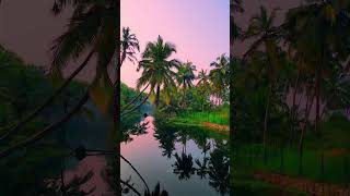 A beautiful morning kerala morning nature dronevideo keralanews [upl. by Annia926]