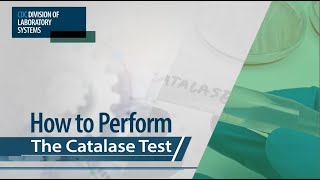 How to Perform The Catalase Test [upl. by Slayton]