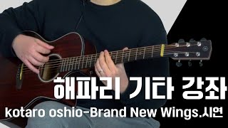 해파리 기타 강좌시연KOTARO OSHIO  Brand New Wings [upl. by Haduhey]