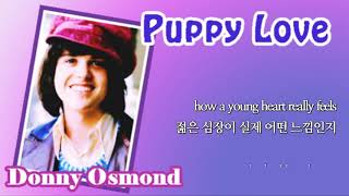 Puppy Love  Donny Osmond with Lyrics amp 가사 해석 [upl. by Leahcimauhsoj]