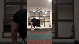 Instructions on how to do pushups on your fingers baki challenge sports power [upl. by Niwrud]