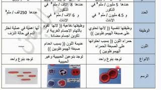 شرح جهاز الدوران [upl. by Gisela]