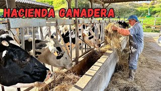 Impresionante HACIENDA GANADERA productora de LECHE 🥛🐄 Josué y Elie [upl. by Edveh]