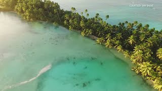 The Nature Conservancy Palmyra Atoll [upl. by Peugia]