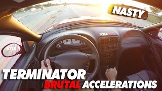 Terminator Cobra POV LOUD Eaton Supercharger Accelerations [upl. by Rivy]