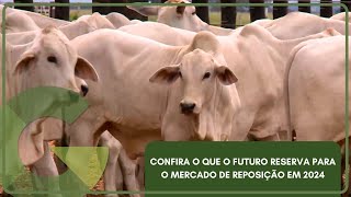 CONFIRA QUE O FUTURO RESERVA PARA O MERCADO DE REPOSIÇÃO EM 2024 [upl. by Llekcor]