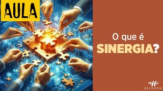 O que é sinergia [upl. by Enad]