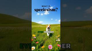 Speciesism Why We Treat Some Animals as Family Others as Food veganlifestlye animalrights vegan [upl. by Flanigan405]