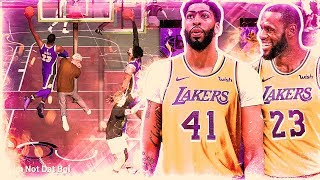 LEBRON JAMES and ANTHONY DAVIS DOMINATE TOXIC TRY HARDS in NBA 2K19 [upl. by Gleda]