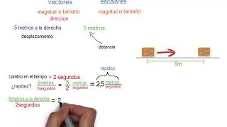 Introducción a los vectores y escalares [upl. by Gerald]