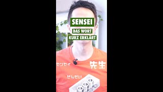 Sensei  das Japanische Wort kurz erklärt  Einfach Japanisch lernen shorts [upl. by Ttirrem]