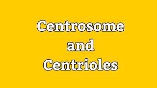 Centrosome and Centrioles  Cell Division  Spindle fibers  Cell Biology  HindiUrdu Lecture [upl. by Thackeray]