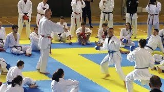 KARATE WKF CHAMPION KUMITE TRAINING [upl. by Thorn425]