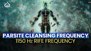 Parasite Frequency Cleanse 1150 Hz Rife Frequency for Parasite Cleansing [upl. by Arnoldo260]