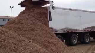 Trout River Shuttle Floor Unloads Woodchips [upl. by Laurianne113]