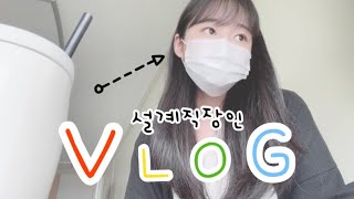 VLog설계6년차 직장인회의하기일하기❤️‍🔥빡치기다시일하기💔 [upl. by Ikcir]