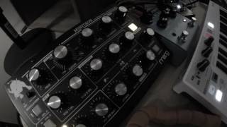 Live Jam  Moog Minitaur  Echoplex amp blueSky [upl. by Manbahs76]