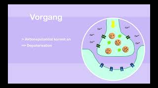 Wirkung von Botulinumtoxin an der Synapse [upl. by Ainival]