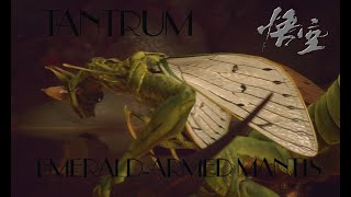 JDtR4464  EMERALDARMED MANTIS BOSS FIGHT  TANTRUM [upl. by Seavey]