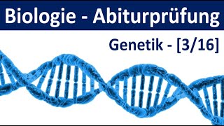 Biologie Abiturprüfung  Genetik  Tipps und Aufgabentypen Abitur Biologie 316 [upl. by Sofia]