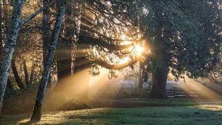 Wordt wakker het zonnetje is al op [upl. by Aehr175]