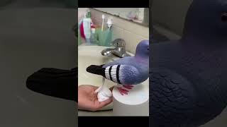 Magic 🪄✨ magic handwash kabootar kabootrisong pigeonhandwash punjabisong newsong punjabi [upl. by Ahsitra]