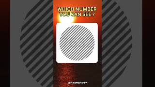 Which Number You Can See 👀  Test your eyes 👀 riddles test quiz competition iq shorts puzzle [upl. by Eitsirhc792]