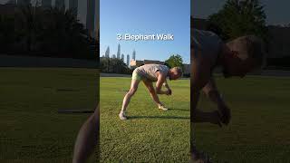 6 Leg Animal Movements from Easy to Difficult [upl. by Deelaw]