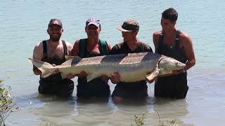 Pêche de lesturgeon en amis [upl. by Sherwin]