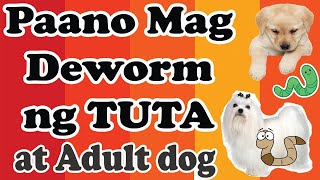 Papaano Mag deworm ng Tuta at Matandang Aso How to deworm a puppy and adult dog [upl. by Euqirat744]