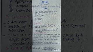 Skin  Anatomy and physiology humanskin skinanatomy skinphysiologyskinnotesshotrsviralvideo [upl. by Matta]