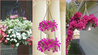 CREATIVE HANGING FLOWERS BASKET IDEAS  CESTA DE FLORES COLGANTES PARA JARDÍN [upl. by Nada]