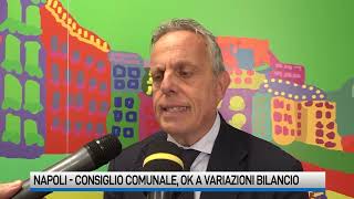 Variazione di bilancio larrivo lok del consiglio [upl. by Keely]