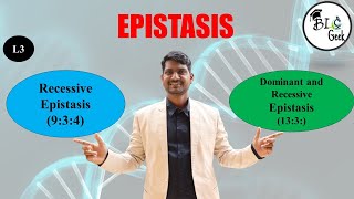 Genetics Epistasis Recessive Epistasis amp Dominant Recessive Epistasis BScMSc Life Science [upl. by Porter]