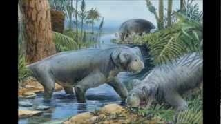 Historia de la Tierra P2y3  El Paleozoicowmv [upl. by Aneem]