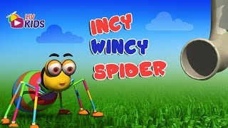 Incy Wincy Spider with Lyrics  LIV Kids Nursery Rhymes and Songs  HD [upl. by Enalb]