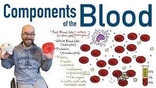 Components of Blood [upl. by Ellenid]