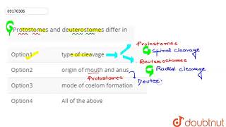 Protostomes and deuterostomes differ in  12  ANIMALIA I LOWER INVERTEBRATES  BIOLOGY  AR [upl. by Audsley629]