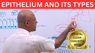 Epithelium and its Types🩺 [upl. by Milore109]