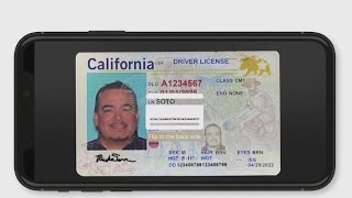 No more physical drivers licenses This could be a reality in California [upl. by Teddman]